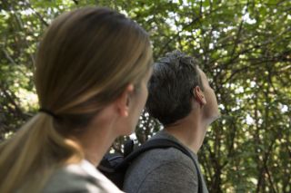 A couple hiking in nature seen in profile